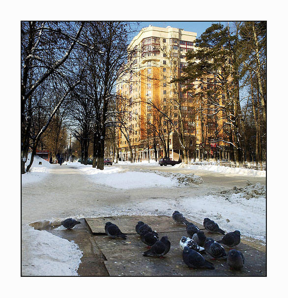  . -24  . 