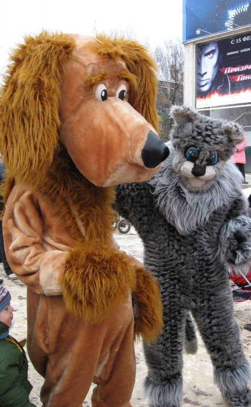   2007