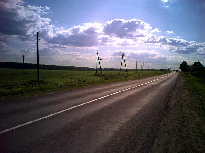  2006