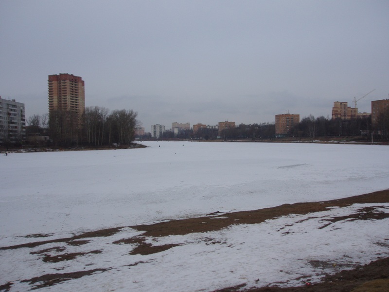   ( 2008)