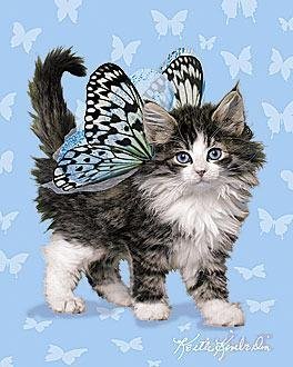 butterflyes