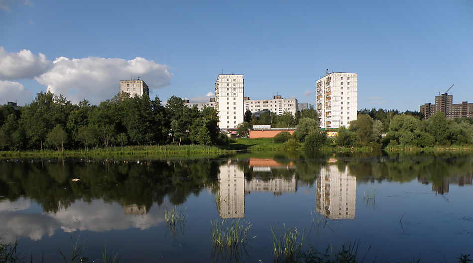 Знакомство В Городе Пушкино Московская Обл