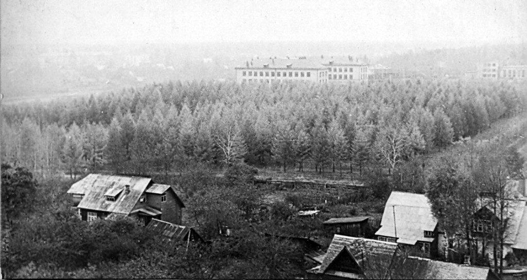     1971 .