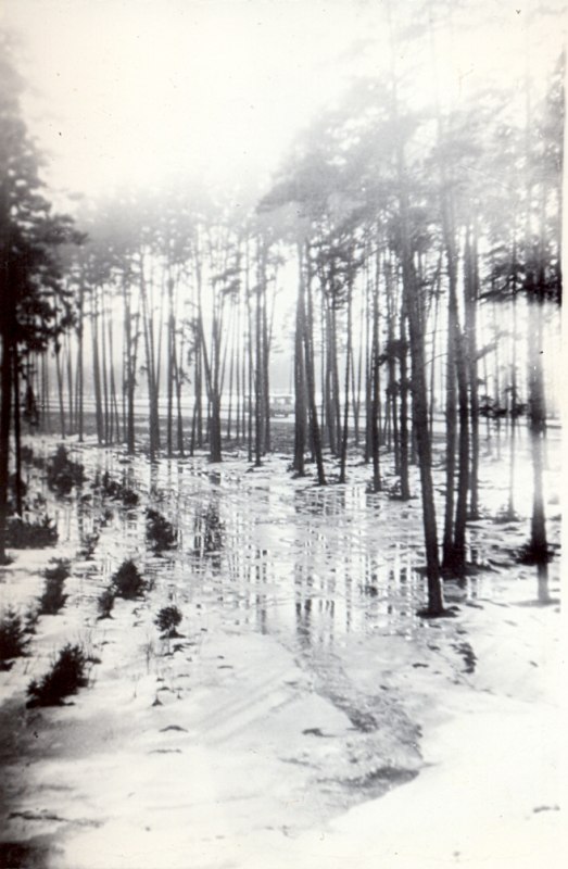      . 1973 .