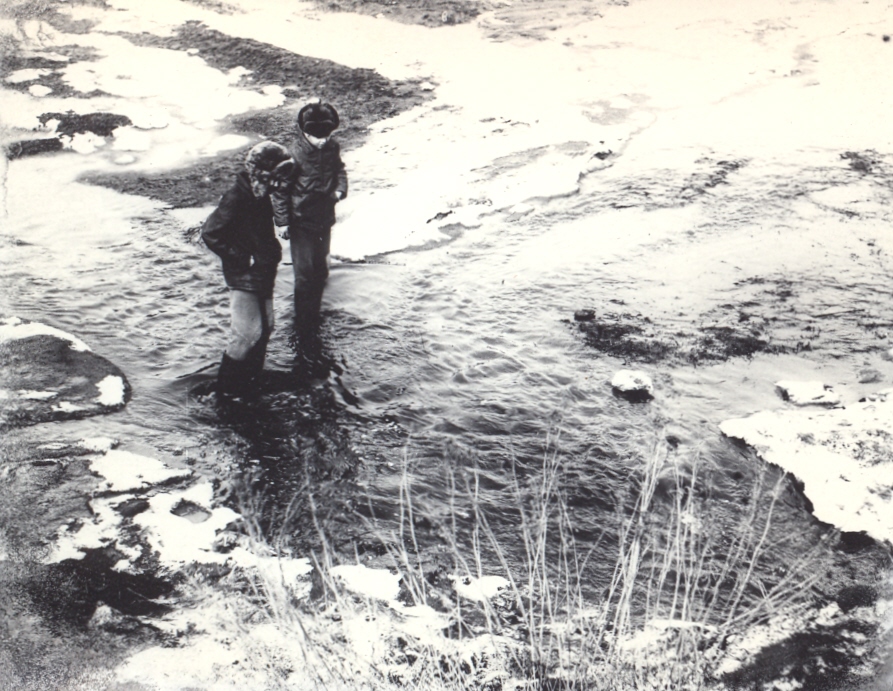         1973 .