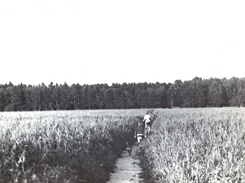 1983 .     ( )   .
