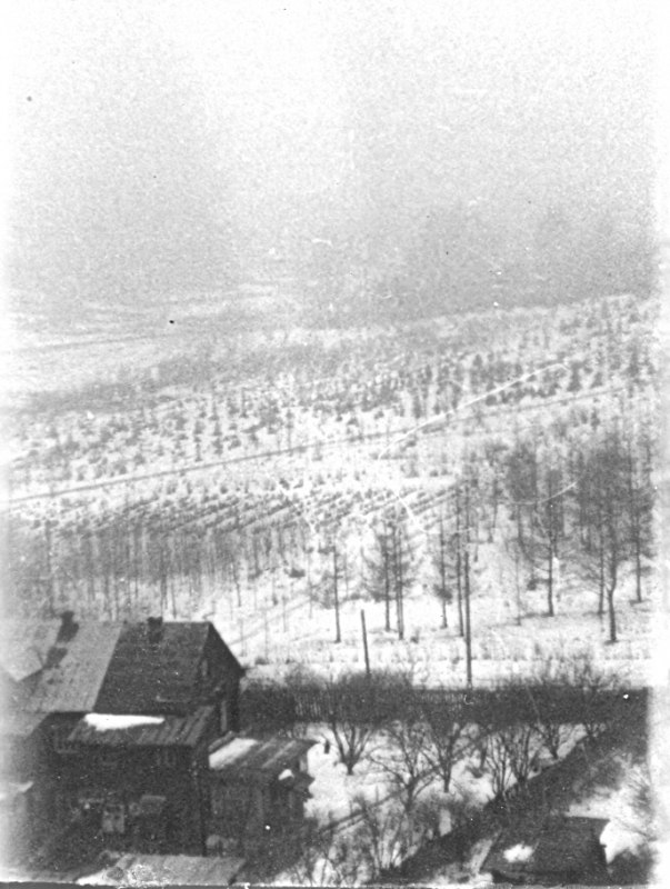         1971 .