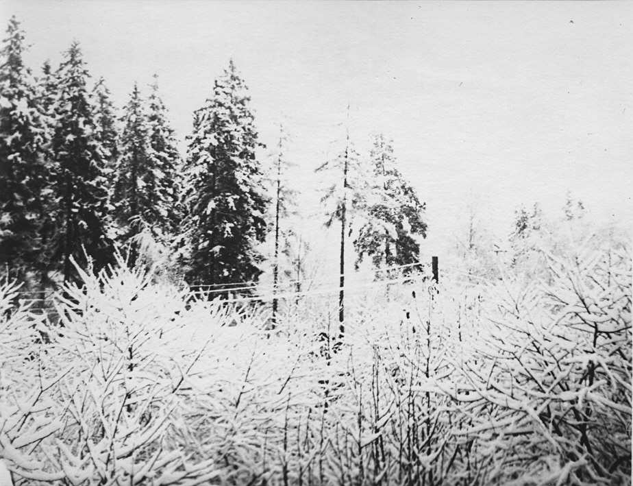  1966 .     9   10.
