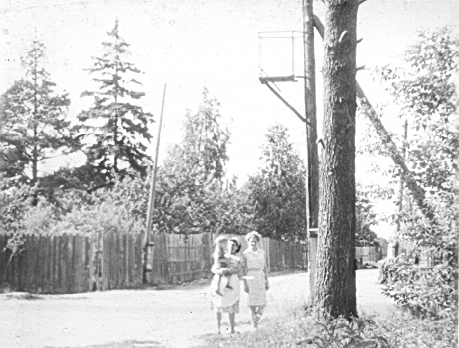      (  ). 1966 .