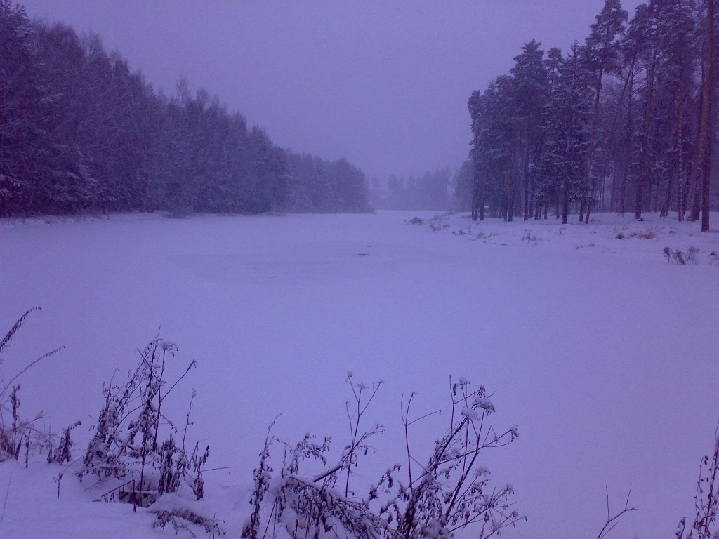      2007
