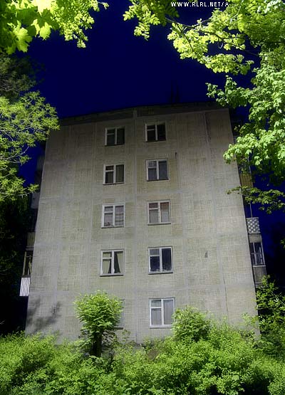    2005