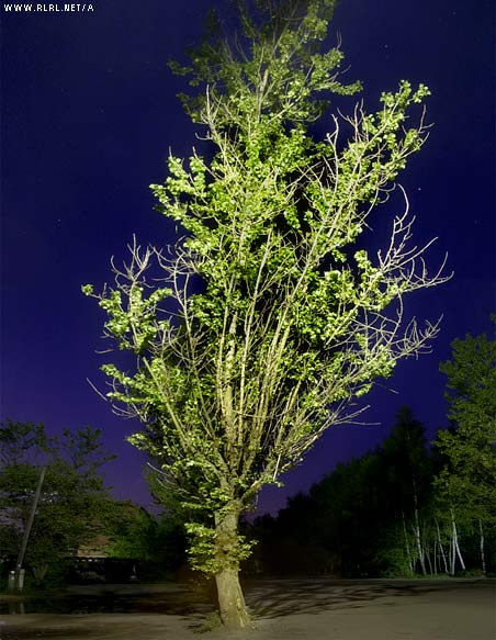    2005