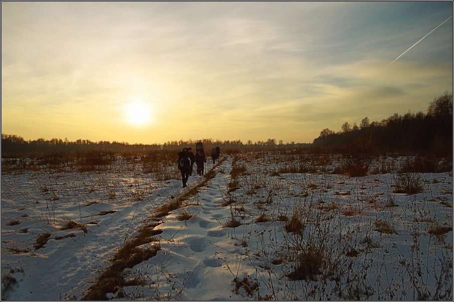 follow the sun