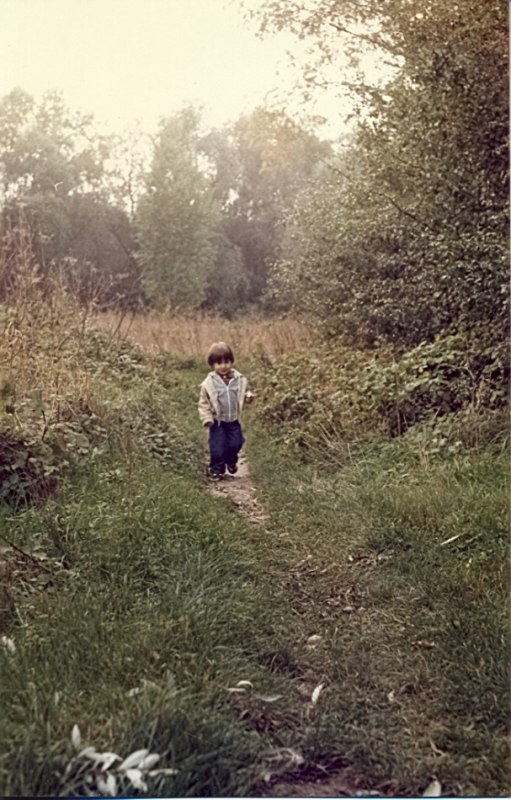       , 17   .