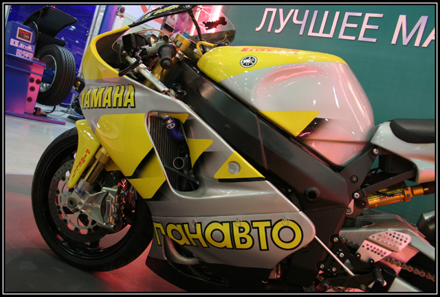  2006