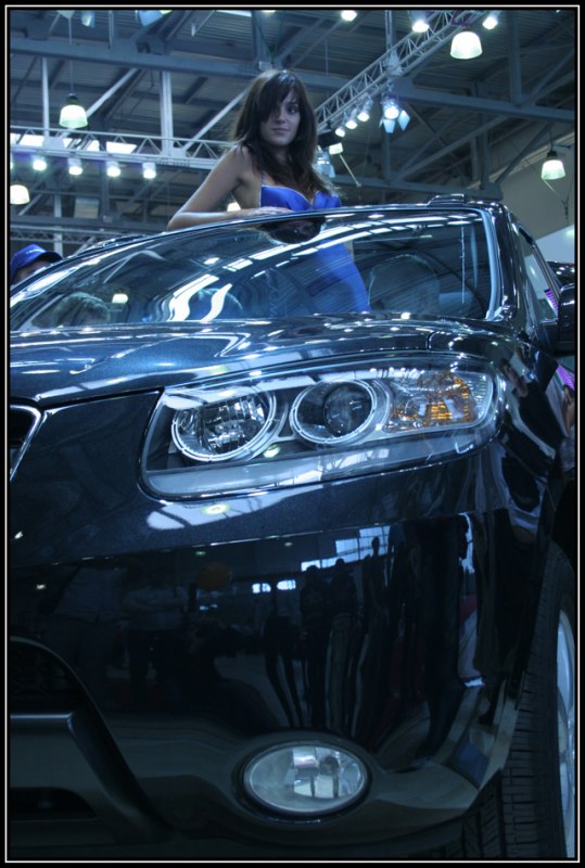  2006