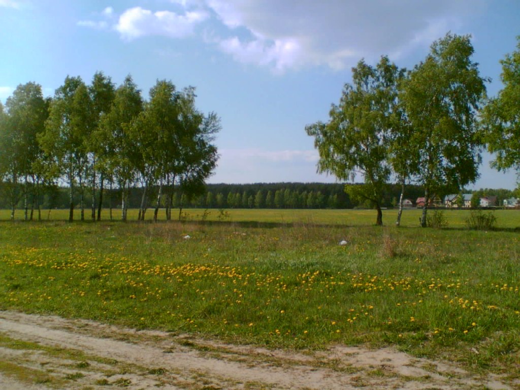   1 (  )
