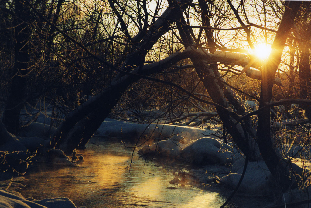 winter