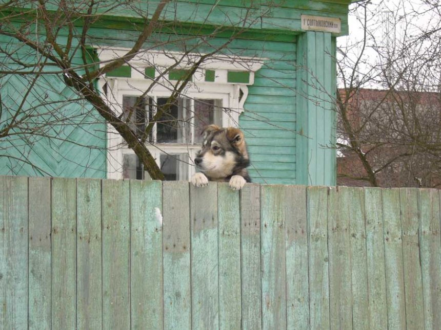  !