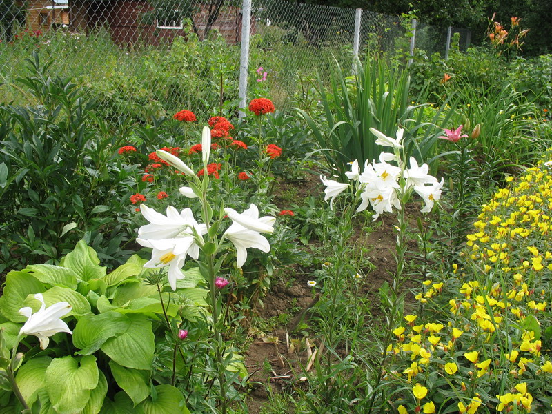 -2006