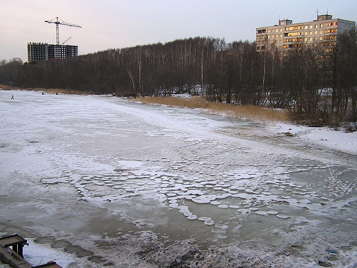     (7  2005.)