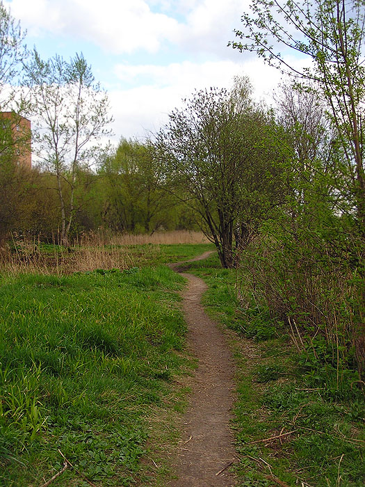    (10  2005)