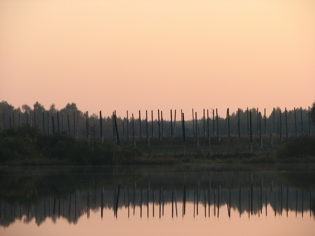 Reflection