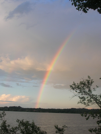  2006,10    