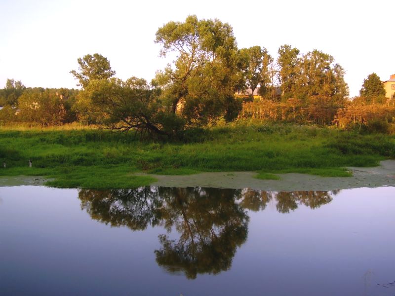    2007