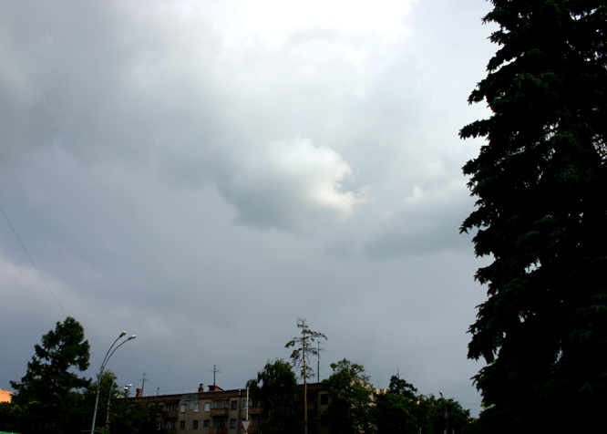   (19  2005),  9