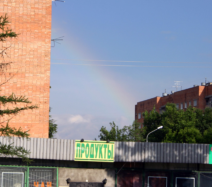  (19  2005),  29