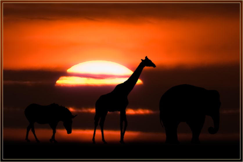 Tropical sunset