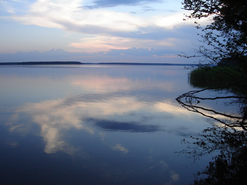 12 -  